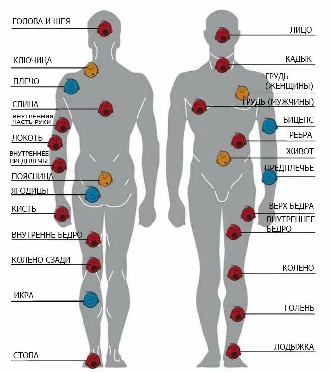 Куда и насколько. Болезненные места для татух. Болезненные места для тату. Самые больные места для татуировок. Зоны татуировок боли.