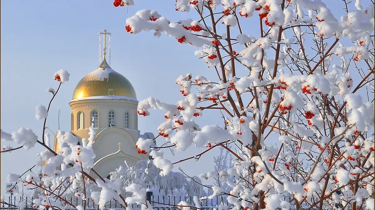 Православного зимнего доброго утра. Зимний храм. Храм зима утро. Рябина на фоне церкви зимой. Храмы зимним утром.