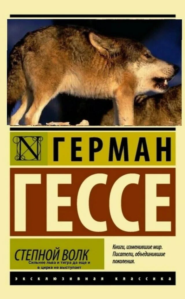 Герман гессе степной волк цитаты. Герман гессе степной волк аудиокнига. Волк степи доклад. Цитаты волка смешные. Герман гессе степной волк цитаты.