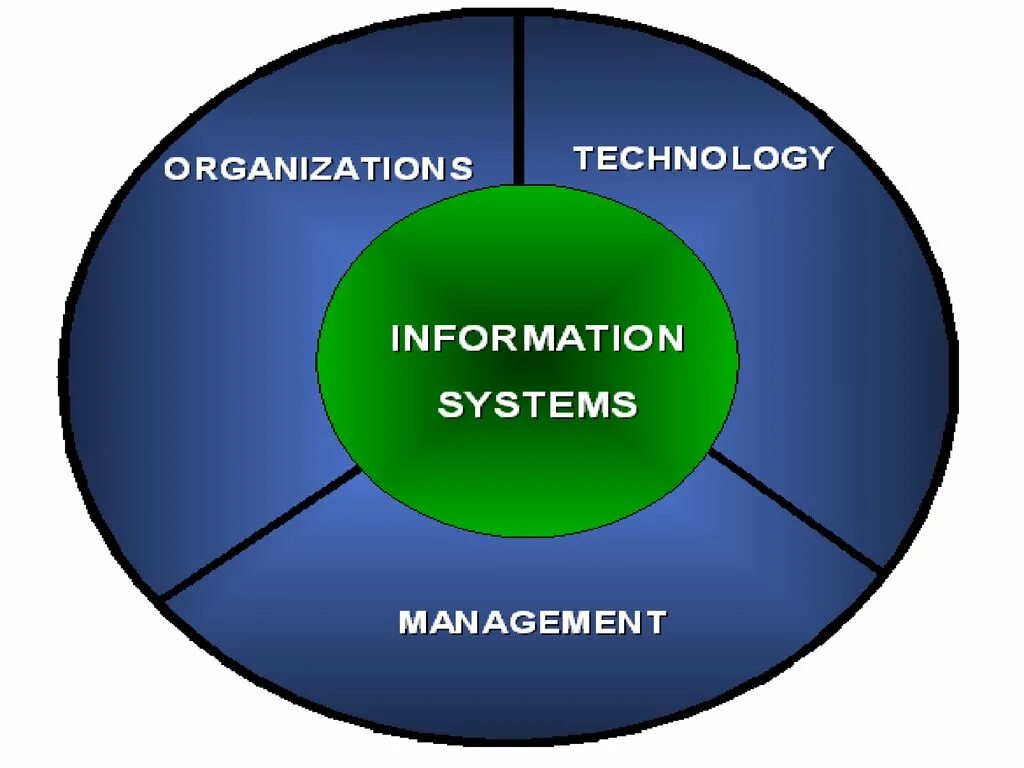 Management information system. Management information Systems. Mis Management information System. Mis (Management information System) примеры. Информация в менеджменте.