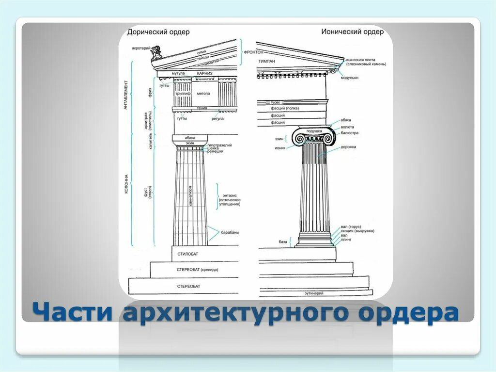 Дорический и ионический ордер. Архитектурный ордер дорический ионический Коринфский. Дорический ордер древней Греции. Ордерная система в архитектуре древней Греции.