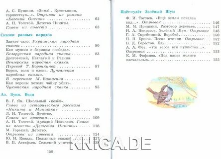 Литературное чтение народном языке