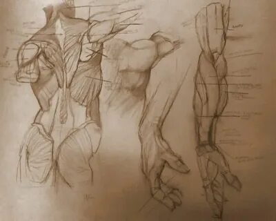 Рисунок для практики