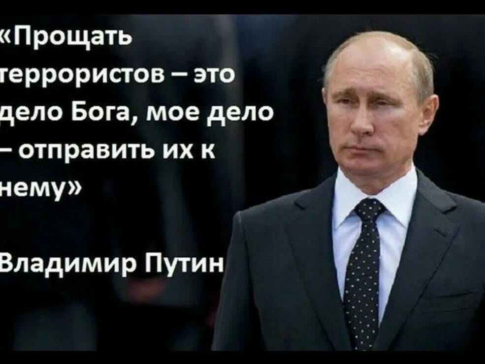 Цитаты про терроризм. Цитаты Путина про терроризм. Высказывания Путина о терроризме.