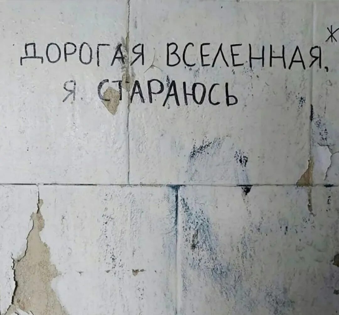 Я стараюсь перевод. Я стараюсь перевод. Я стараюсь перевод. Я стараюсь перевод. Я вселенная.