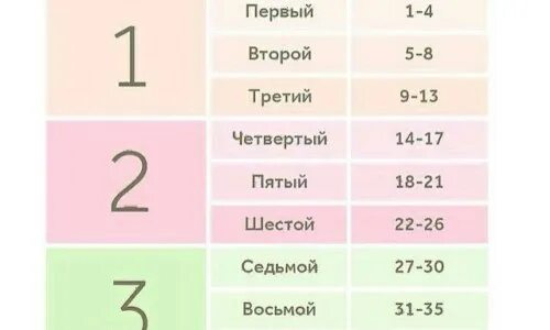 Триместры беременности по месяцам таблица. Ii триместр беременности это период. триместры при беременности по неделям. сроки беременности по триместрам в неделях. таблица триместров беременности по неделям.