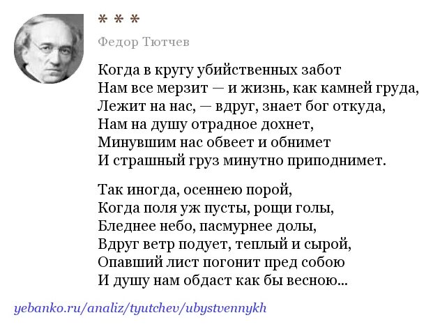 Когда дряхлеющие силы нам начинают тютчев. Тютчев. Когда в кругу убийственных забот Тютчев. Стихотворение когда в кругу убийственных забот Тютчев. Когда в кругу убийственных забот Тютчев анализ стихотворения.