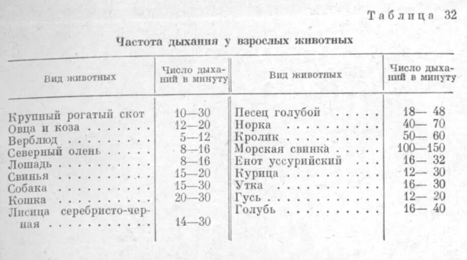 Температура тела кур. Пульс у кошек в норме в покое. ЧДД У собак норма мелких пород. Частота сердечных сокращений у собак норма. Частота дыхания у собак средних пород норма.