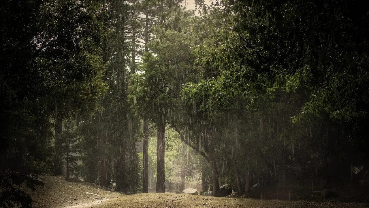Free Images : landscape, tree, nature, forest, wilderness, mountain, winter, clo