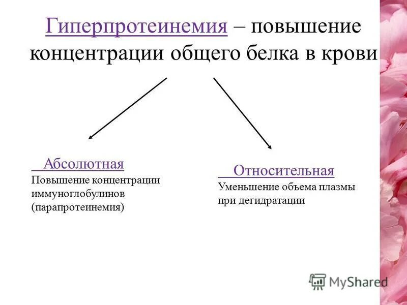 Концентрация общего белка в крови