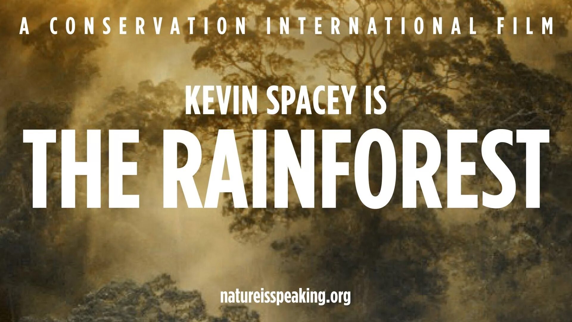 Nature is speaking. Nature is speaking ocean текст. a conservation international film. a conservation international film текст.