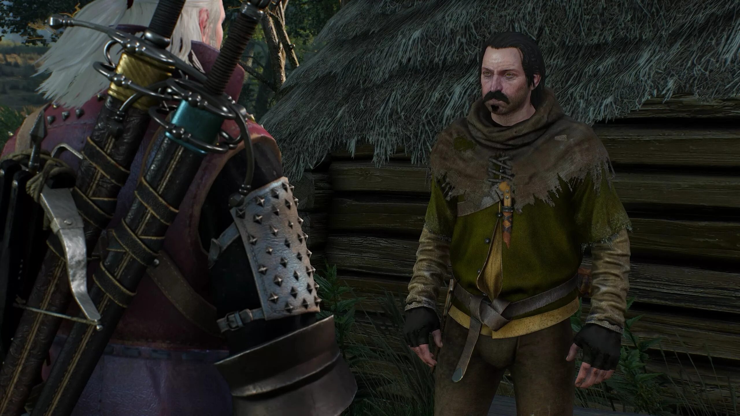 Без следа ведьмак прохождение. Без следа ведьмак прохождение. Ведьмак миссия огромный. Квест без следа ведьмак. Таинственные следы ведьмак 3.