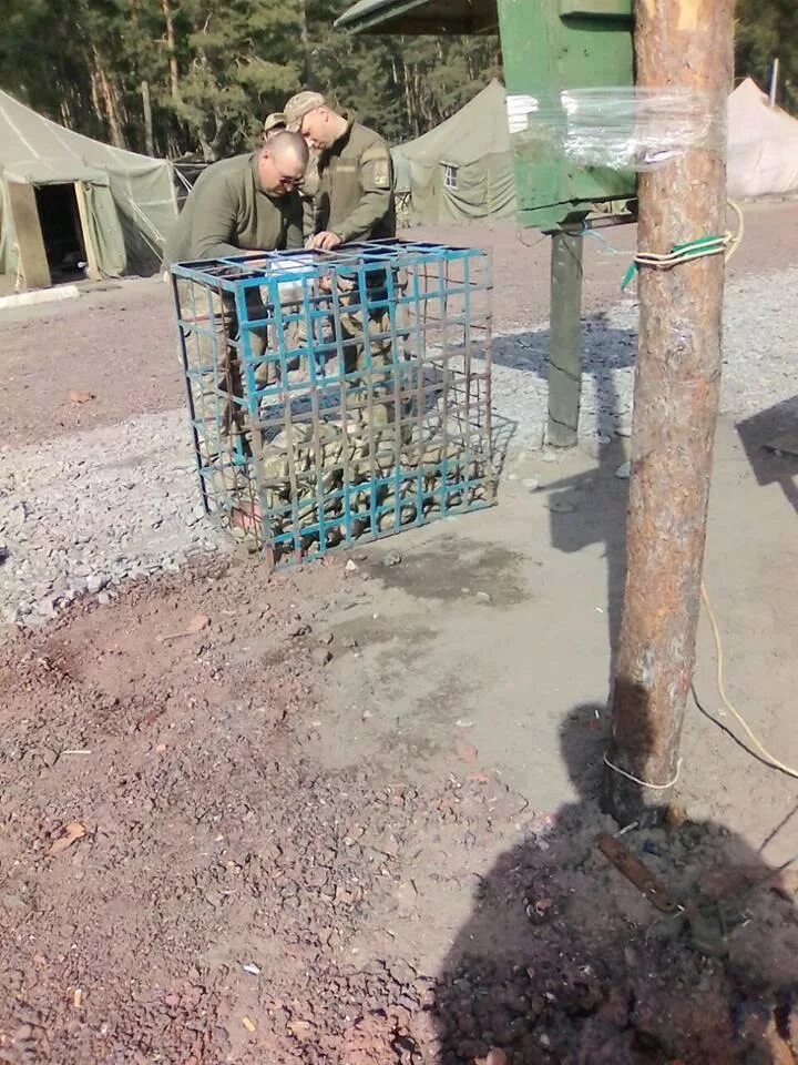 Подверглась пыткам
