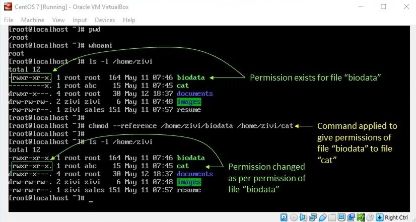 Directory permission linux. Linux permissions. linux file permissions. команда chmod +x asterisk. chmod u+x.