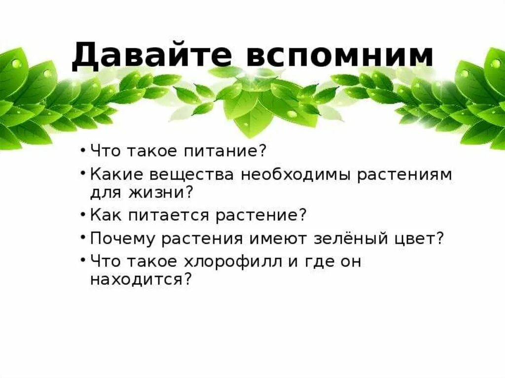 Минеральное питание растений тест по биологии 6. Минеральное питание растений 6 класс презентация. Минеральное питание растений 6кл. Презентация питание растений. Минеральное питание растений презентация.