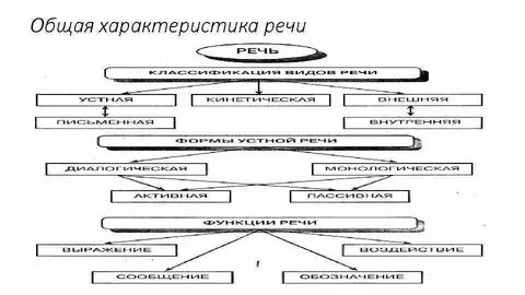 Общая характеристика человека это