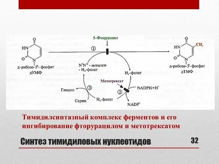 Нуклеотид комплекс