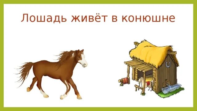 Где живет конь. Лошадь живет. Конь живет в конюшне. Где живёт лошадь для детей.