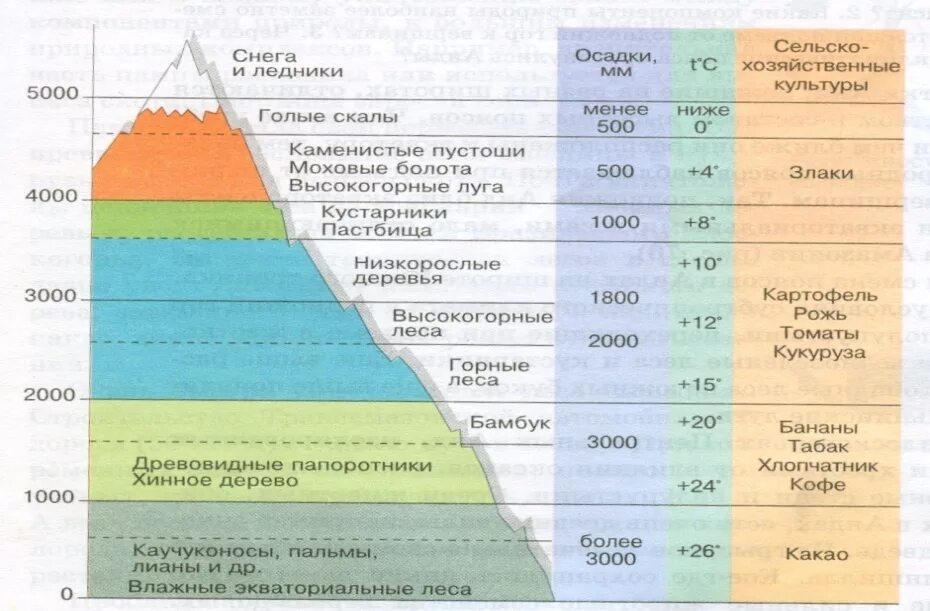 Высотная поясность горы килиманджаро. Высотная поясность кавказа 8 класс география. Анды андийские кордильеры. Типы ледников горные и покровные. Описание ледника большой азау на кавказе.