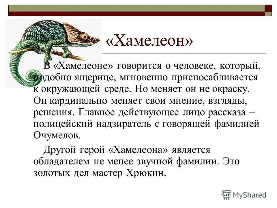 История создания рассказа чехова хамелеон. Очумелов хамелеон. Рассказы чехова. А п чехов хамелеон. Рабочий лист по литературе хамелеон.