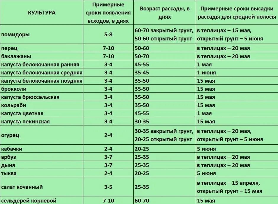 За сколько дней до высадки сеять помидоры. Таблица посева семян на рассаду в открытый грунт. Таблица сроков посадки капусты рассаду. Таблица сроков посева семян овощей на рассаду. Таблица сроки посева в открытый грунт семена.