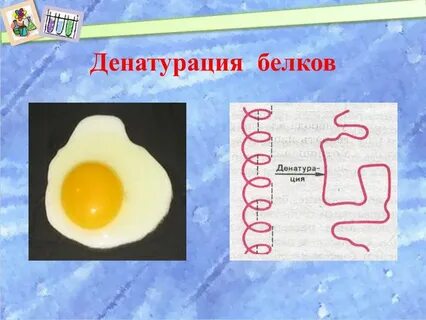 Денатурация белка формула