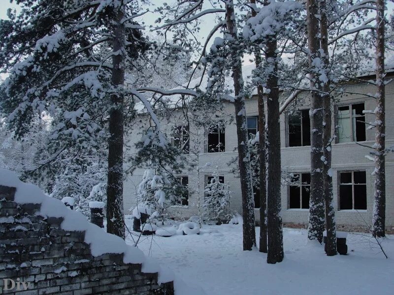 Рощино новгородская область. Петроградец лагерь. Дол Юнга Рощино. Детский санаторий в Рощино. Лагерь Петроградец в Громово.