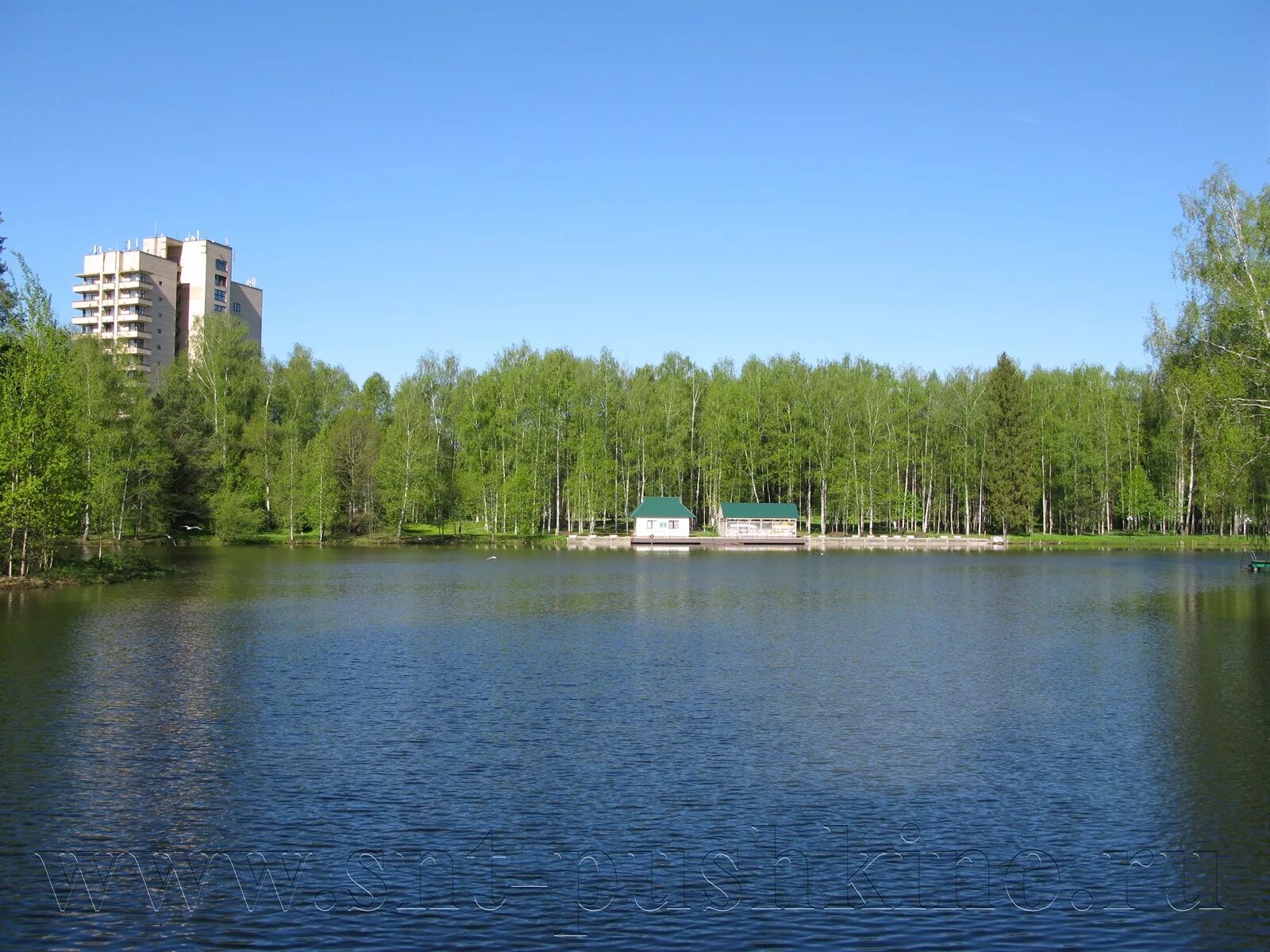 Санаторий Пушкино Московская область. Санаторий Пушкино озеро. Санаторий «Пушкино», г. Пушкино. Санаторий ЦК Пушкино.