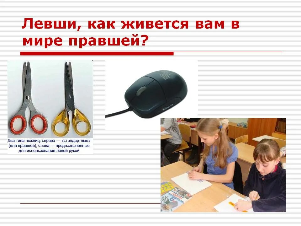 Как называют человека который пишет
