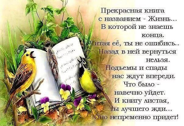Книга называется жизнь. Жизнь прекрасна стихи. открытки со стихами о жизни. открытки с красивыми стихами о жизни. стихи в картинках на разные темы.