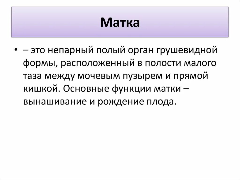 Матка строение и функции. Функции матки кратко. Строение и функции матки кратко. Матка строение и функции анатомия. Катруся правда матка