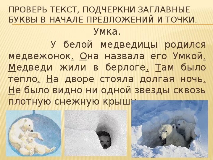 У белой медведицы родился медвежонок. Белый медведь иллюстрация. Сказка про белого медведя. Новосибирский зоопарк белые медведи. Белый медвежонок иллюстрация.