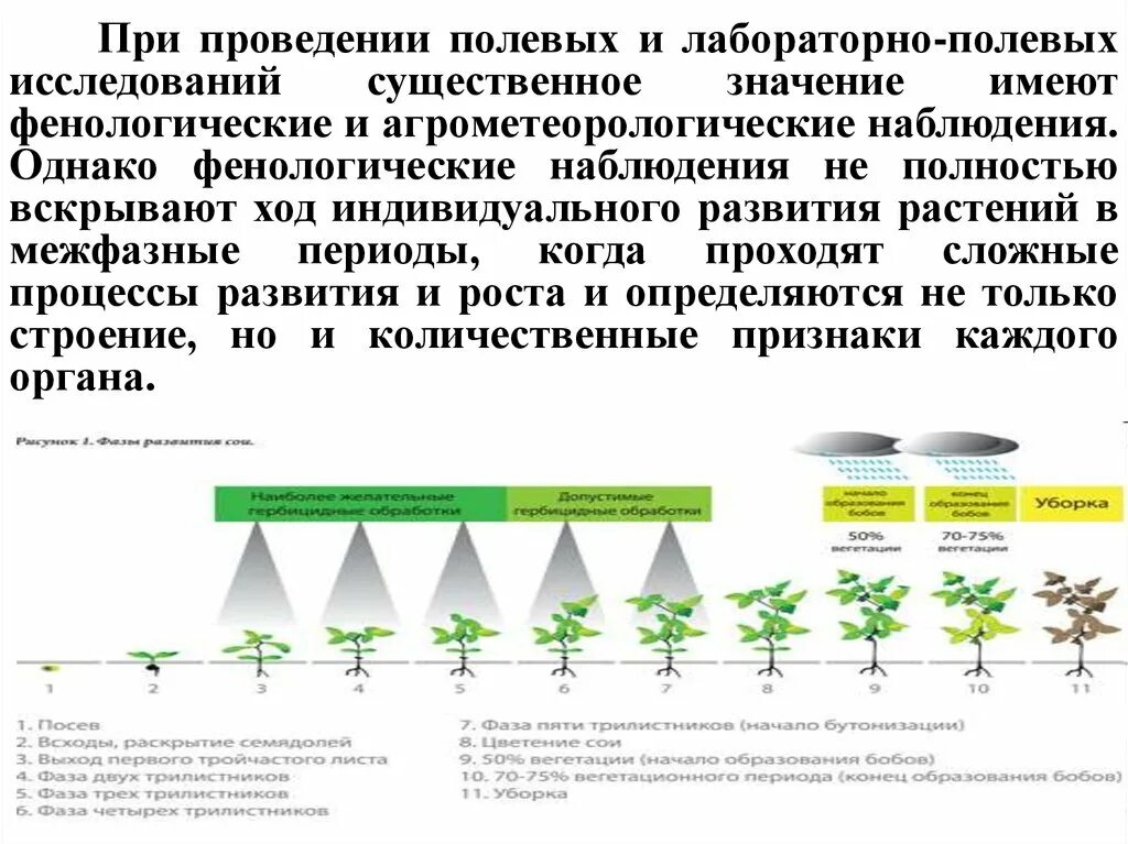 Эксперимент лабораторный полевой. Эксперимент лабораторный полевой