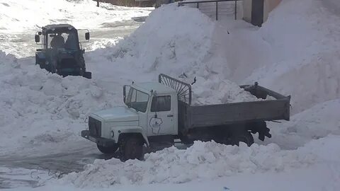 Едва тяжко груженные снегом еловые лапы