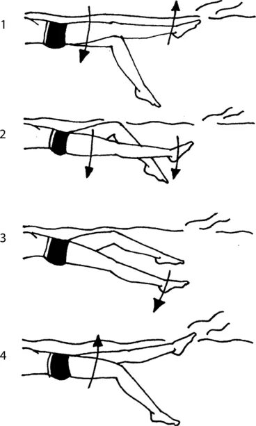 Движения ногами. Движение рук и ног в плавании кролем. Техника плавания «кролем» движение ног. Техника плавания кролем на груди движения ног. Техника плавания кролем на груди и кролем на спине.