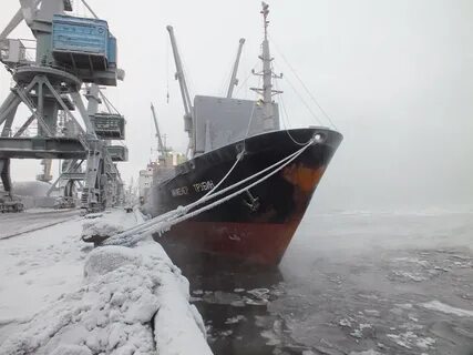 Работа мурманск морские