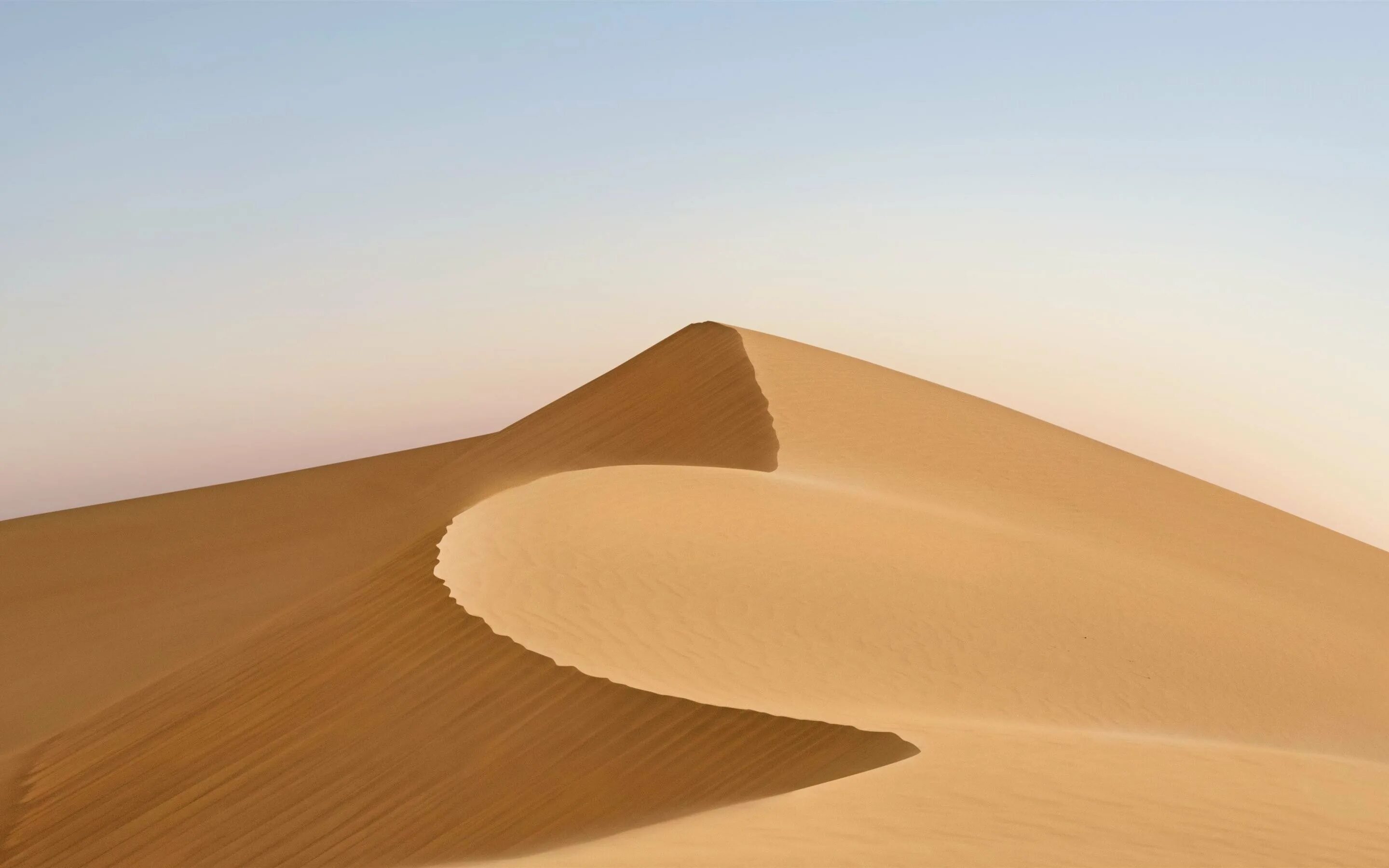 Барханы ханы. Пески Мохаве. Дюна в пустыне в ОАЭ. Песчаная Дюна. Пустыни Аравийского полуострова.