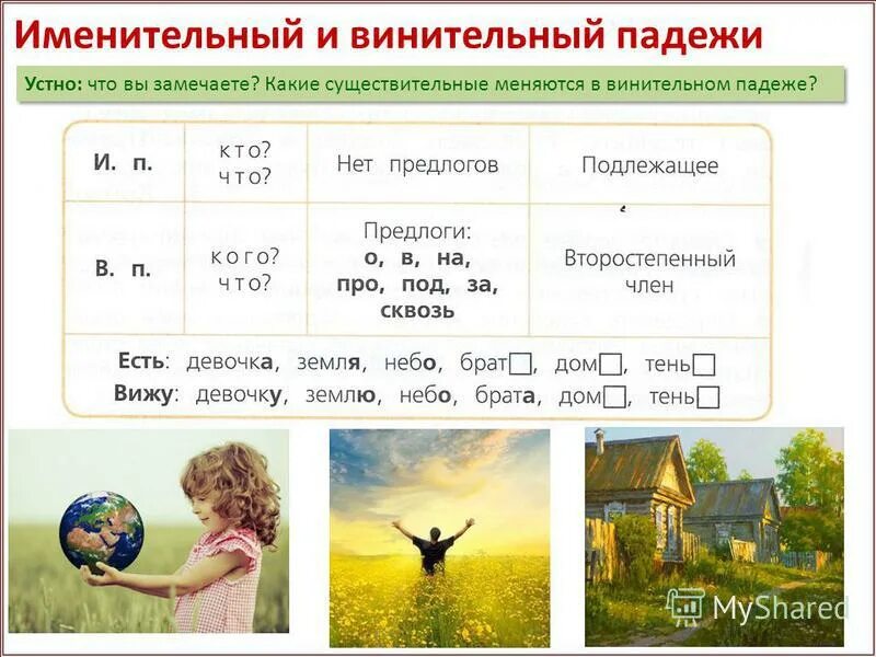 Гуляли в парке падеж имени существительного