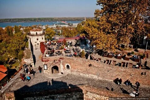 Сербия белград отзывы