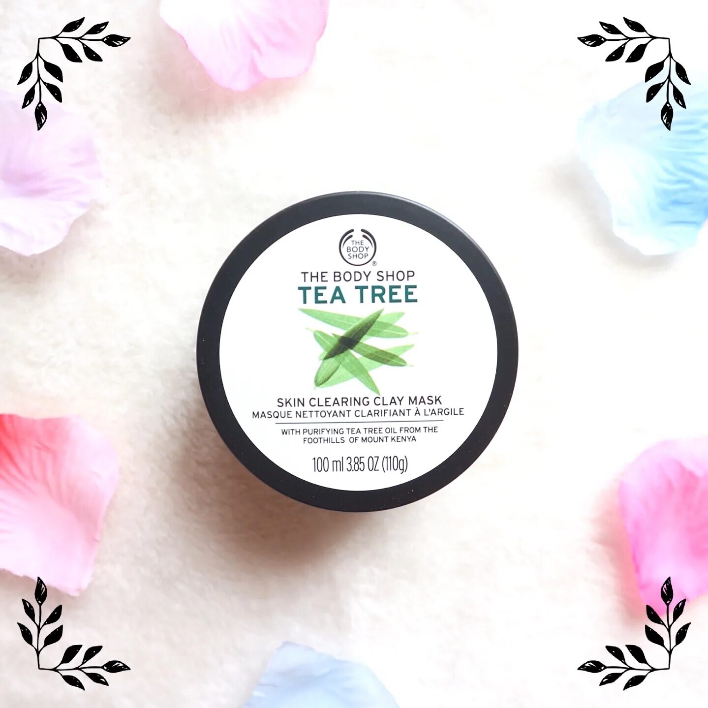 Eveline botanic expert пудра. Eveline tea tree пудра белая. Tea tree пудра. Пудра чайное дерево. Eveline пудра матирующая.