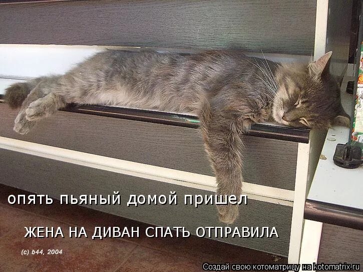 И тут пришел домой