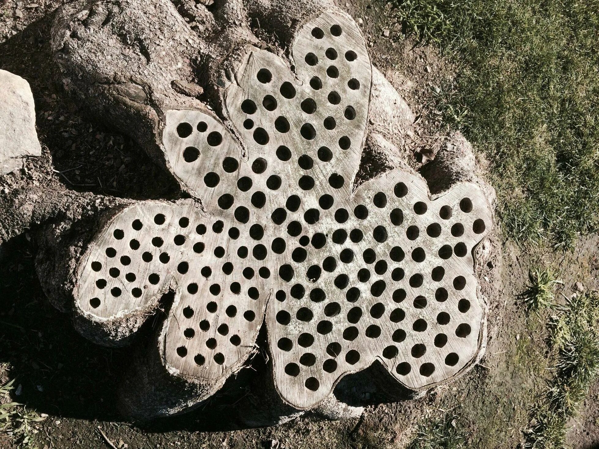 Фото дырочки