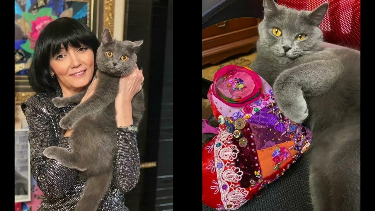 Гела чара лоскутное шитьё. Гела чара лоскутное шитьё. Дзен гела чара. Гела чара видеопоследние. Дзен гела чара.
