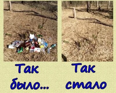 Чистый город нижняя