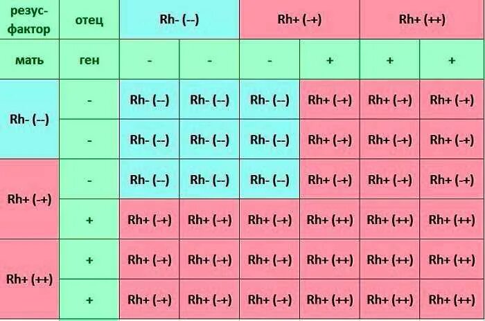 Коли резус. Отец 2 положительная мать 2 отрицательная. У отца ребёнка 1 положительная у мамы 2 отрицательная. Совместимость. Совместимость групп крови мать 3 отрицательная отец 2 положительная. У родителей группа крови 2 положительная а у ребенка 1 положительная.