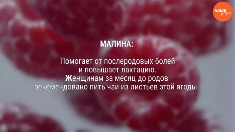 Листья малины для родов. Листья малины для беременных. Малиновые листья для стимуляции родов. Листья малины для подготовки к родам.