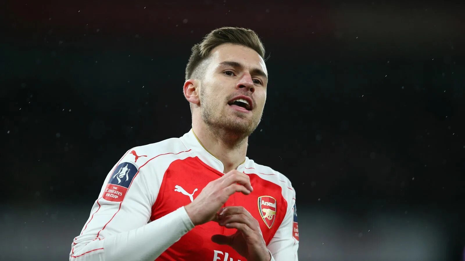 L arsenal