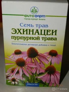 Эхинацея польза и вред для организма