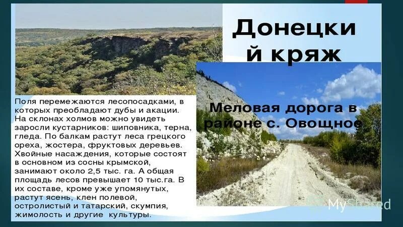 Хребет форма рельефа. Рельеф донецкой области. Равнина печорская низменность на карте. Донецкий кряж возвышенность на карте. Республиканский ландшафтный парк «донецкий кряж».