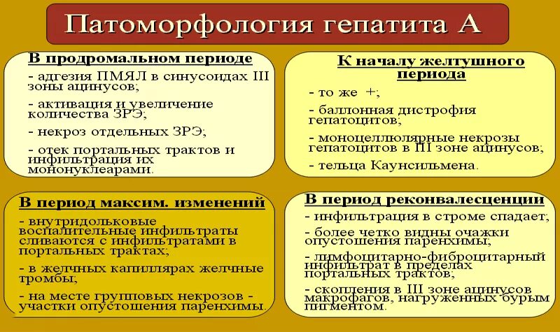 Продромальный период гепатита а. Симптомы продромального периода вирусного гепатита. Для продромального периода гепатита а характерна. Продолжительность продромального периода при вирусном гепатите в. Для вирусного гепатита а характерно